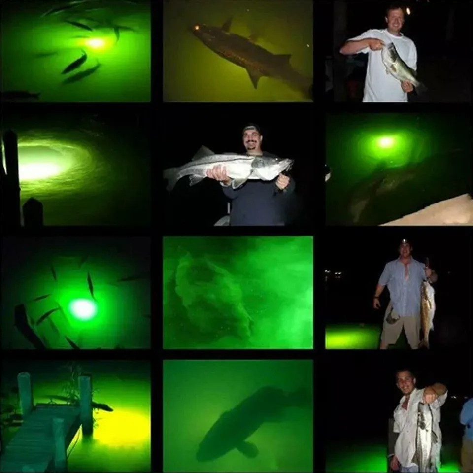 Ranpo 12V LED Green Underwater Submersible Night Fishing Light Crappie Shad  Squid Boat Fishing Light
