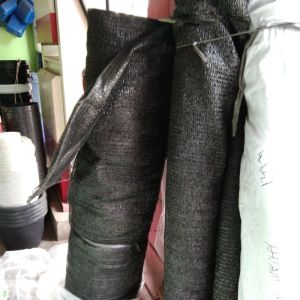 PARANET ECER 1MX3M CAP MATAHARI