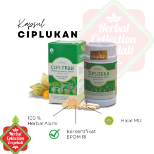 Obat herbal Alami Kapsul Herbal Ciplukan Tazakka untuk diabetes dan kencing manis Halal alami BPOM