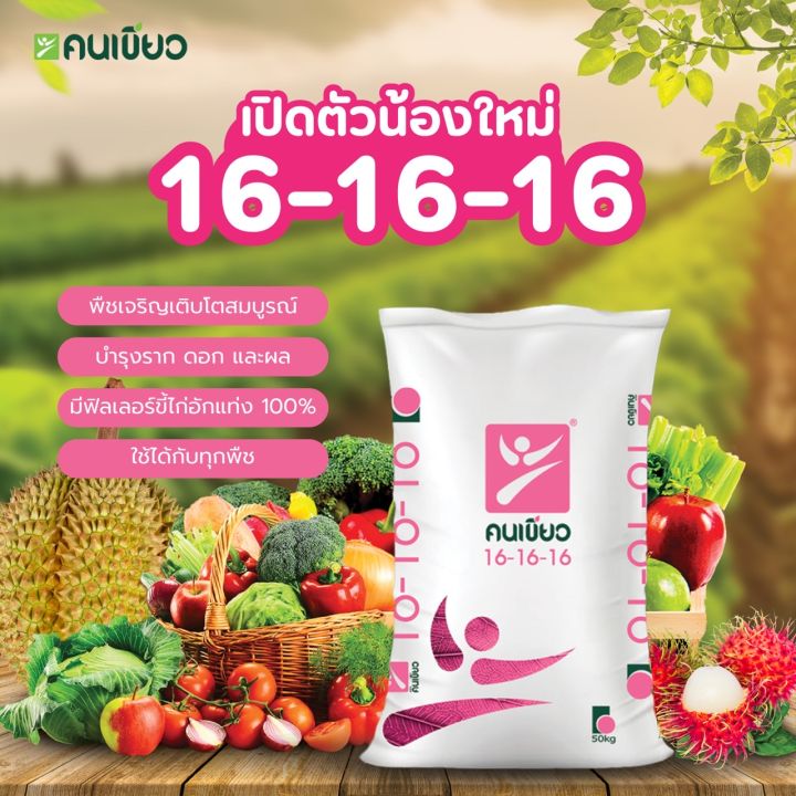 5 อันดับ ปุ๋ย 16-16-16 ยี่ห้อไหนดี? อัปเดตปี 2025 สำหรับเร่งดอกบำรุงผล