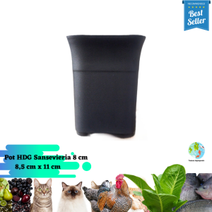 (1 pc) Pot Bunga Sense HDG Sansevieria Ukuran 8