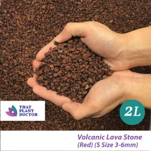 Volcanic Lava Stone S Size(Volcano Rock/Lava Stone) Suitable for Aquarium Aquascape Terrariumetc) (2L RED 3-6 mm)