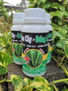 [Freeship Max] Phân bón LÙN CÂY ĐỨNG LÁ sử dụng cho lúa nếp chai 500ml_VTNN TIEN KHOA