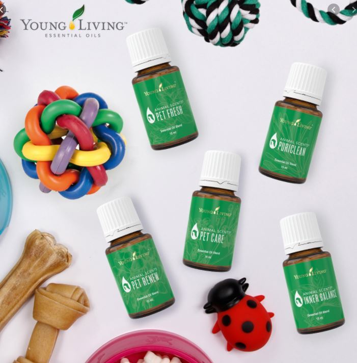 animal scents Essential Oil 15ml Young Living ORI 100% | Lazada Indonesia