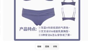 CS บราสตรีเซ็กซี่ บราปีกขยายหน้าอก สำหรับสาว บราสตรีที่สวยงามและสง่างาม TH20017 Clothing Women เสื้อใน  เสื้อในผู้หญิง ชุดชั้นในหญิง