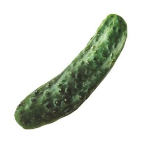 ER52858 Creative Funny Soft Carrot Chinese Cabbage Simulation Chicken Leg Food Shape Sound Pets Supplies Dog Toys Chew Toys Puppy Toy