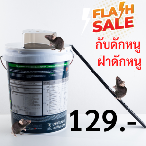 SPKMALL 2022 กับดักหนู ฝาดักหนู กรงดักหนู ที่ดักหนู กําจัดหนู ถังดักหนู ใช้ซ้ําได้ ไม่บาป ไม่ทําร้ายหนู