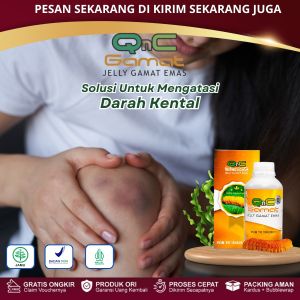 Obat Darah Kental Pengencer Darah Beku Pembekuan Darah Beku Melancarkan Sirkulasi Darah Pembersih Darah Kotor Penyumbatan Pembuluh Darah Dengan QnC Jelly Gamat