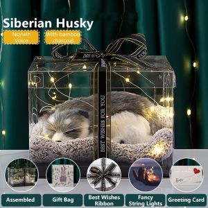 Gift  Cat Dog Cute Gift Birthday Gift Friendship Valentine Gift Girlfriend Gift Kids Gift Beauty Gift Birthday Gift for Sister Cat Gift 情人節禮物哈士奇仿真动物