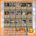 Tờ Poster Lệnh Truy Nã Team Mũ Rơm Onepiece - Wanted Poster One Piece Đảo Hải Tặc Bóc Dán MSP: TeamWanted. 