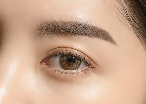 [SISTER ANN Official] Slim Auto Eyebrow pencil 1.8mm (2 Colors)