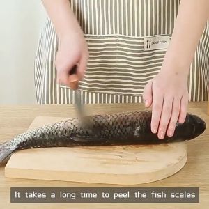 Electric Coconut Grater|Stainless Steel Handheld Rotary Grater|Fish Scaler Suitable for Kitchen Use