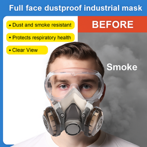 Anti-Fog Dustproof Full Face Gas Mask Industrial Painting Spraying Respirator Filter Safety Work Protection