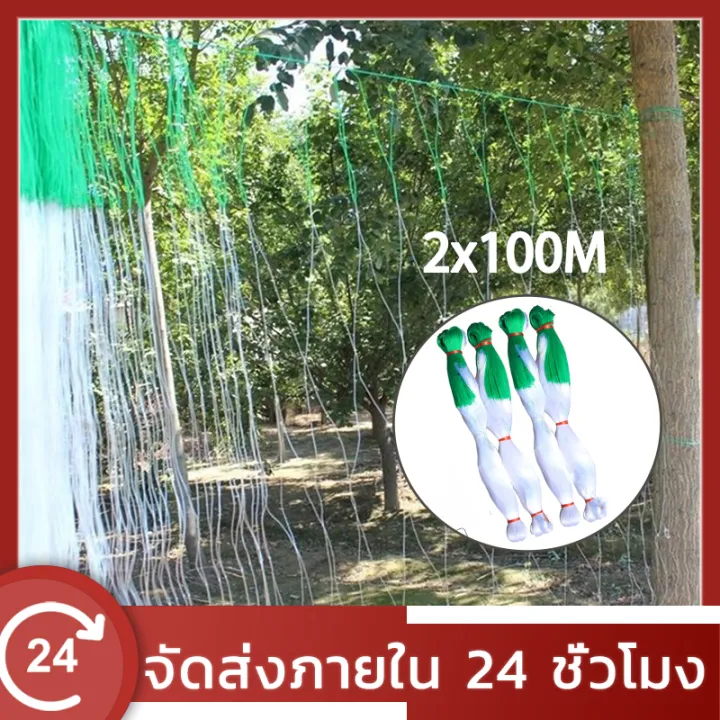 อวนแตง ตาข่ายเอ็นปลูกผัก ตากว้าง 25 ซม.