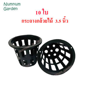 10 ใบ กระถางกล้วยไม้ 3.5นิ้ว กระเช้ากล้วยไม้ กระเช้า กระถางพลาสติก มีรูระบายน้ำรอบ ทำจากพลาสติกเกรด A