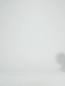 sucming New Sports Underwear Women Naked Feeling Beautiful Back Yoga Vest Shockproof High Strength Exercise Fitness Bra D25031