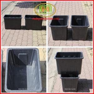 Chậu Nhựa Trồng Rau Aquaponics 50 lít 25x50xH34cm giải pháp tối ưu cho người thích trồng rau sạch