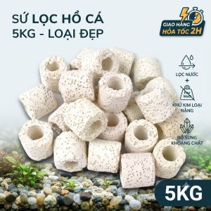 Sứ Lọc Nước Hồ Cá 5KG Cao Cấp - Khử Kim Loại Nặng Tăng Vi Lượng & Khoáng Chất