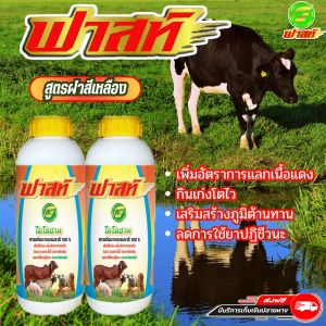 เพิ่มกล้ามเนื้อ เสริมให้สัตว์อ้วนไว เสริมสร้างภูมิคุ้มกันให้สัตว์ สัตว์แข็งแรง ฟาสท์ริช168 ไคโตซานฟาสท์ฝาเหลือง2ขวด ไคโตซานสัตว์ บำรุงสัตว์ให้แข็งแรง