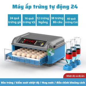 Máy ấp trứng gà mini tự động đa năng hiện đại MA10