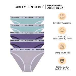 Combo 5 Quần Melange Active Kháng Khuẩn Miley Lingerie