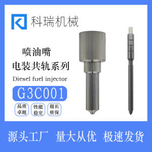 Oil Nozzle Manufacturer G3S1 common rail injector nozzle with reliable quality and competitive price suitable for use 295050-0011