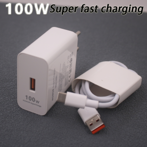 LUCKY PLUSSS : 100W Rapid Charge Type-C Plug and Multi-Watt Charging Cord Combo