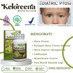Obat Mata Ptosis Mata Beda Sebelah Kelopak Mata Turun Obat Mata Sipit Sebelah  Mata Seperti Mengantuk Mata Lelah Mata Malas Amblyopia Obat Mata Ptosis Bawaan Lahir Obat Syaraf Mata Lemah Obat Herbal Myasthenia Gravis Alami Dengan Keloreena