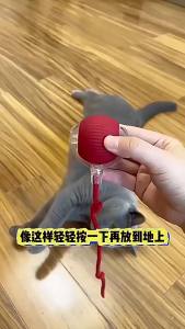 Rolling Pet Toy Ball cat and dog rolling activity ball self-play boredom toy for indoor chasing batting and supervised pet play for Cats Dogs and Pet Owners Pet Care Indoor Pet Use