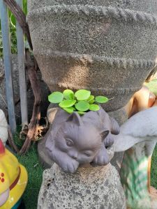 Thiên Thần Chậu-Ếch Chậu- Hươu Chậu – Mèo Chậu - Chậu Trồng Cây Bonsai – Chậu Gốm Sứ Trồng Cây