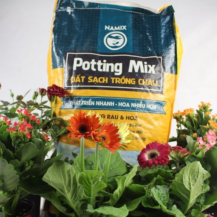 Bao%2020Dm3%20(~10Kg)%20-%20%C4%90%E1%BA%A5t%20S%E1%BA%A1ch%20H%E1%BB%AFu%20C%C6%A1%20Cao%20C%C3%A2%CC%81p%20Namix%20(Potting%20Mix)%20Gi%C3%A0u%20Dinh%20D%C6%B0%E1%BB%A1ng%20Chuy%C3%AAn%20D%C3%B9ng%20Cho%20Tr%C3%B4%CC%80ng%20Rau%20Tr%C3%B4%CC%80ng%20v%C3%A0%20Hoa%20Ki%E1%BB%83ng%20Trong%20Ch%E1%BA%ADu,%20Khay%20Divi%20Store%20-%20Image%207