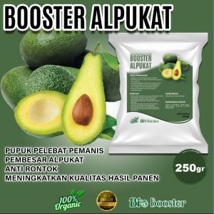 Pupuk Organik Booster Alpukat 250gr pelebat pembesar dan meningkatkan hasil panen alpukat