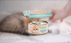 [ส่งฟรี+แถมเบบี้แคท1กป] ChooChoo Baby Cat ชูชู อาหารเสริมซุปบำรุงสูตรลูกแมว ชุด 12 กระป๋อง อาหารลูกแมว (เหมาะกับลูกแมว1-3เดือน)