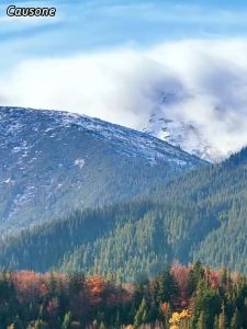 CAUSONE Super Refreshing Menthol Nasal Inhaler Energy Stick for Nasal Absorption Driving or Staying Up Late Working Overtime Energizing