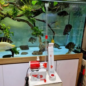 Bơm bể cá baoyu BY103 30W BY104 40W BY105 50W non bộ tiểu cảnh lọc nước hồ cá