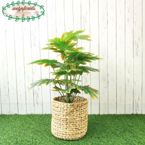 Tanaman Artificial Daun Monstera Jari Philo Orange X18 Semilatex Cover Eceng Gondok Hiasan Sudut Balkon