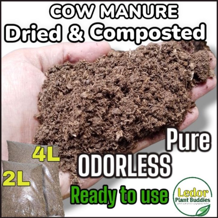 2liter & 4liter Odorless pure cow manure composted Cattle manure