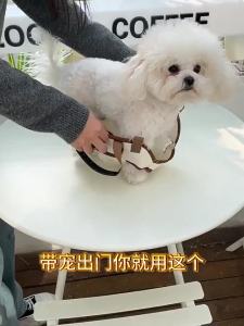 Small and medium-sized dog outdoor portable bag one bag four use four legged single shoulder traction breathable hand-held multifunctional backpack