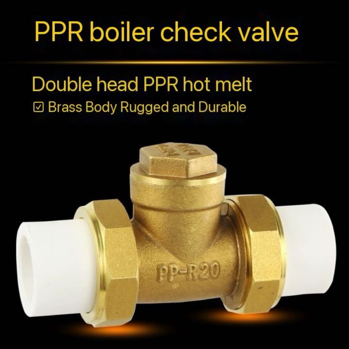 Brass Check Valve PPR Fittings Double Union Check Valve Water Pipe Hot ...