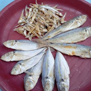 PAKET HEMAT!!!  Anak kost suka ikan asin layang petek selar teri