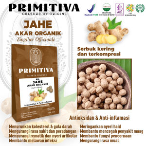 Pil Jahe Akar - Ginger Herbal 100% High Quallity - Organik