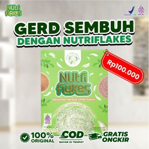 Nutriflakes Sereal Umbi Garut  Atasi Asam Lambung Maag Mag Gerd Menu Diet Menurunkan Berat Badan Sarapan Sehat