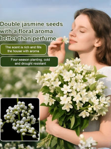 Balcony Pots Jasmine