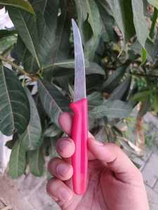 Pisau Okulasi Grafting Cangkok Alat Berkebun Tanaman