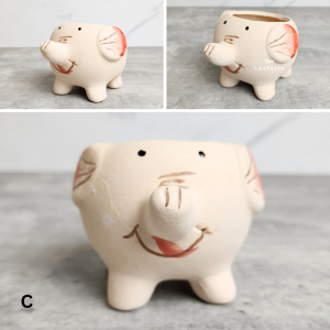 The Leaferie Allie Animal (Series 3) small mini plant pots. flowerpot . flower pot . planter . planters . Succulents