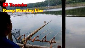 ESSEN 2002 RASA RESEP MANCING LIAR Aksesori Pancing Botol Pliers Pancing Berkualitas - Lazada