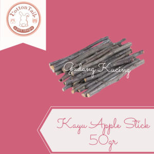 Mainan Gigit Apple Stik Kayu Untuk Hamster Kelinci Guinea Pig 50gr