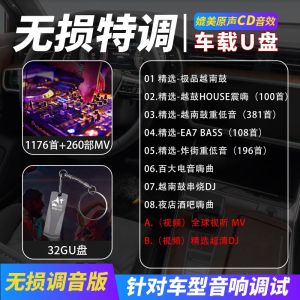 MM- 越南鼓DJ Popular song DJ U disk songs with high pitched quality and lossless Vietnamese drum DJ high-quality music U disk 1179 songs+265MV