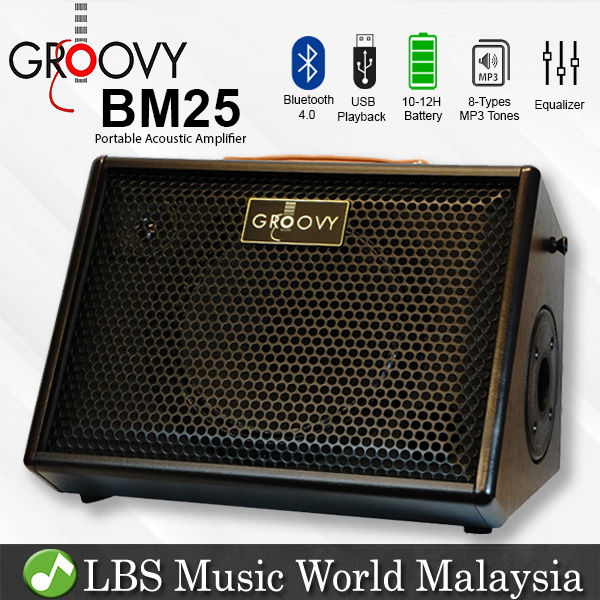 Groovy BM25 Class D Portable Bluetooth Monitor Speaker Amp