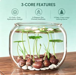 Hydroponic Bowl Lotus Glass Vase Decor Zen Micro Landscape Easy-Care Desktop Water Plant Ornament